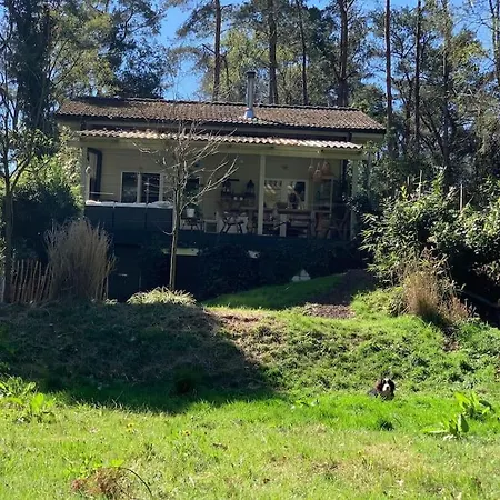 Comfortable In A Unique Location In Forest *