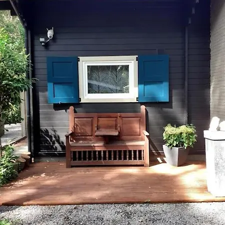 Comfortable In A Unique Location In Forest